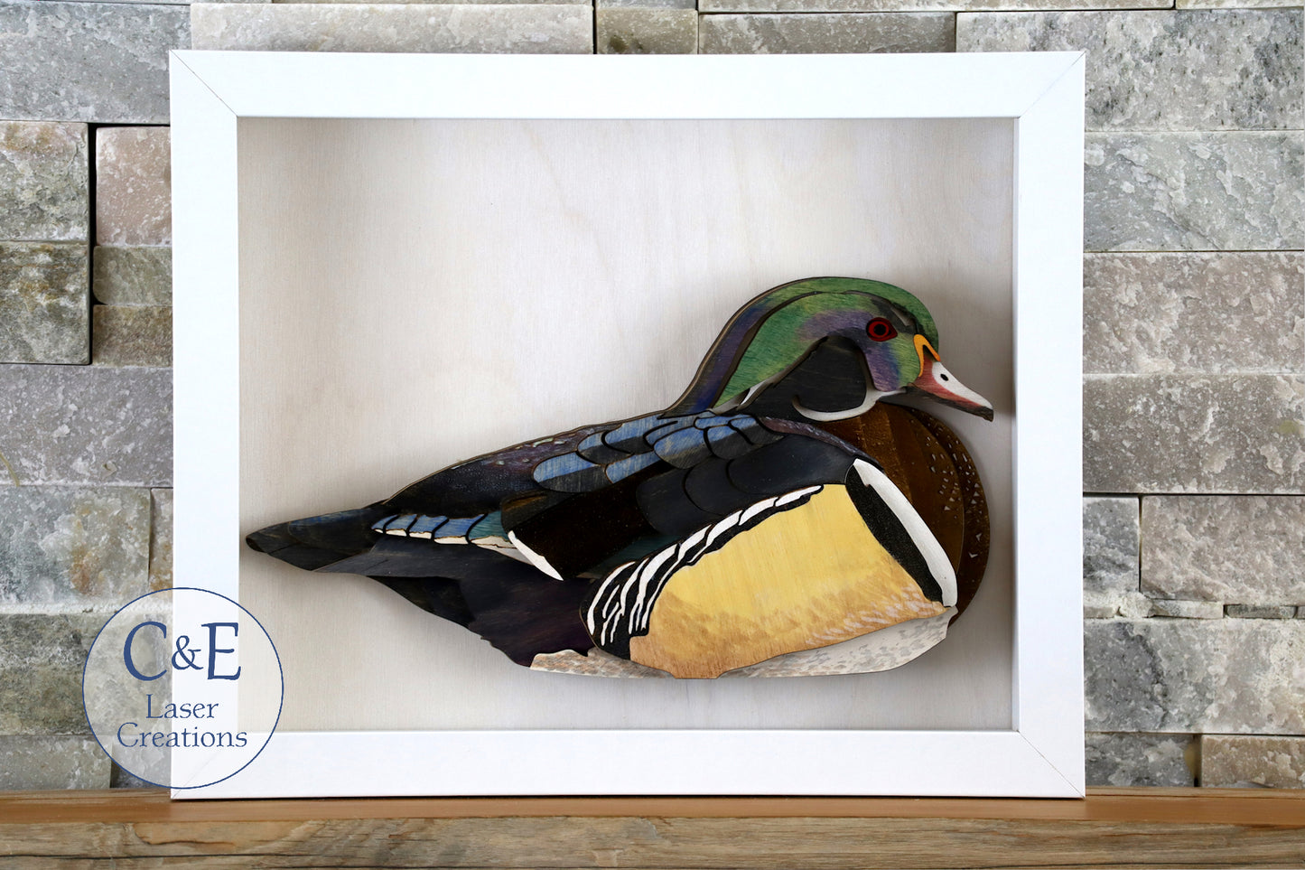Wood Duck-Avian