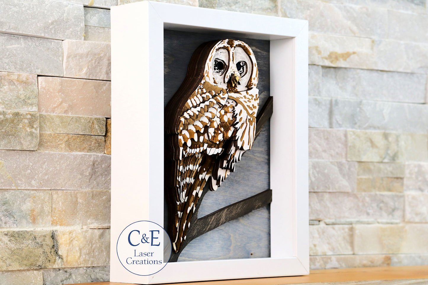 Barred Owl-Avian