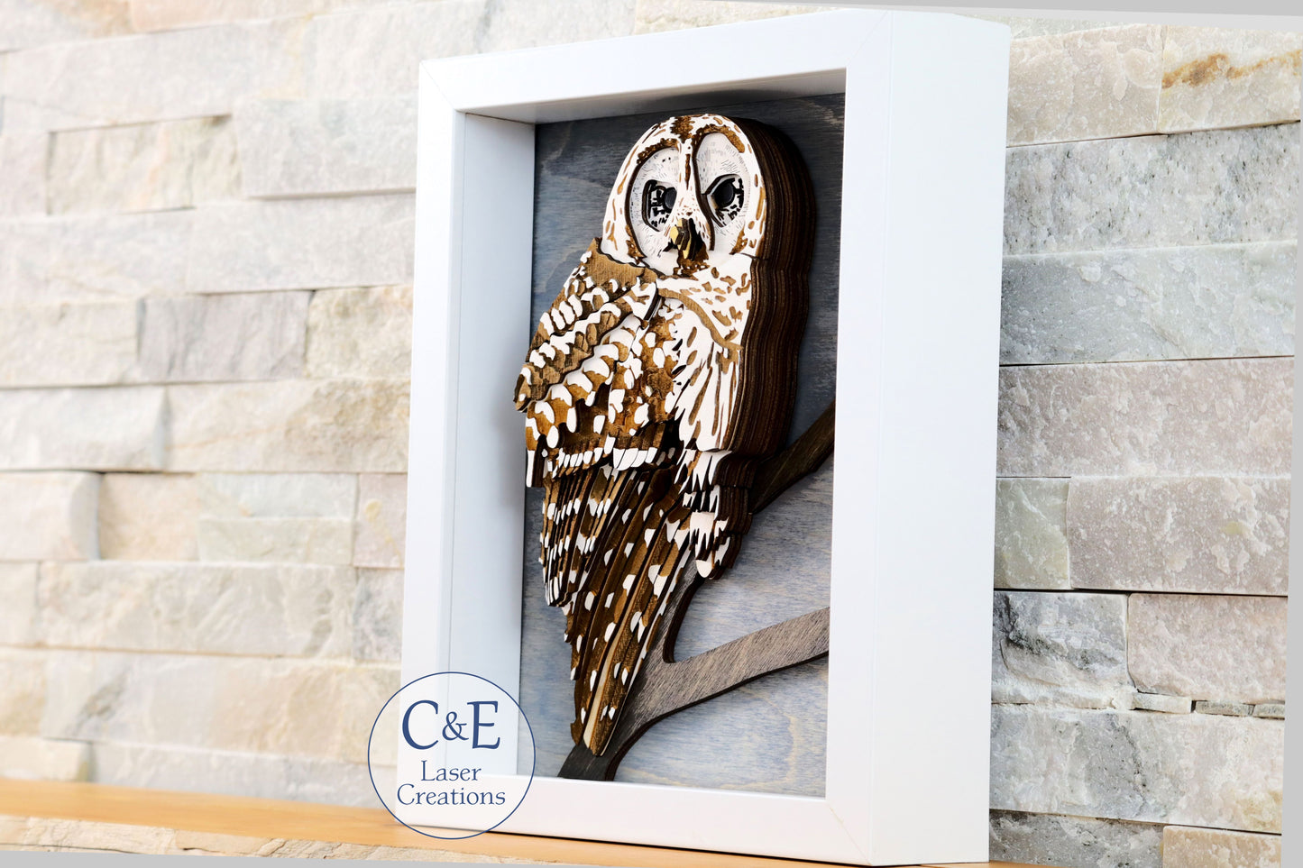 Barred Owl-Avian