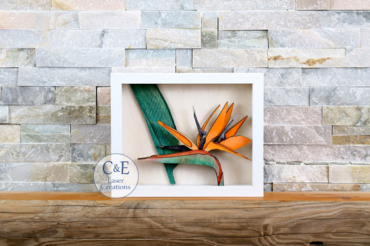 Bird of Paradise-Blooms
