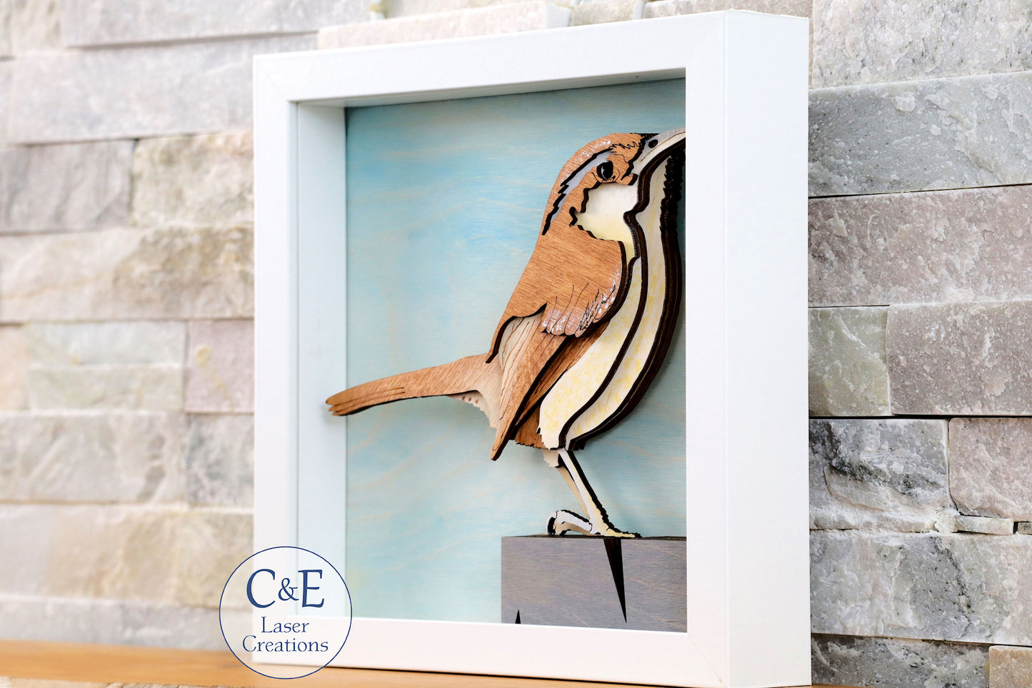 Carolina Wren-Avian