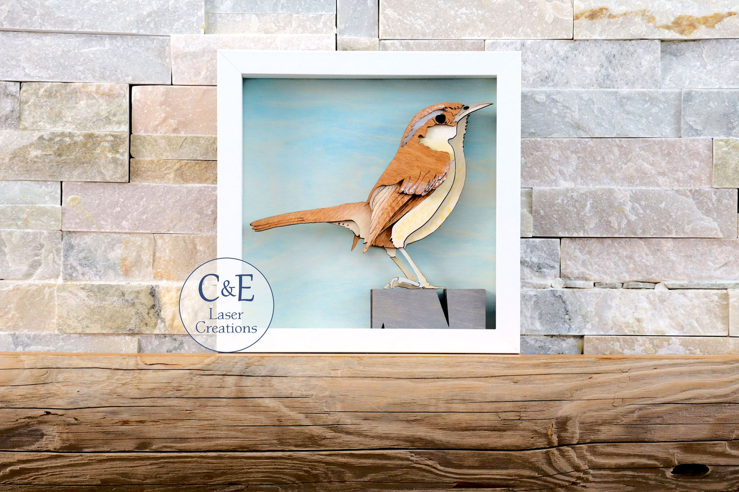 Carolina Wren-Avian