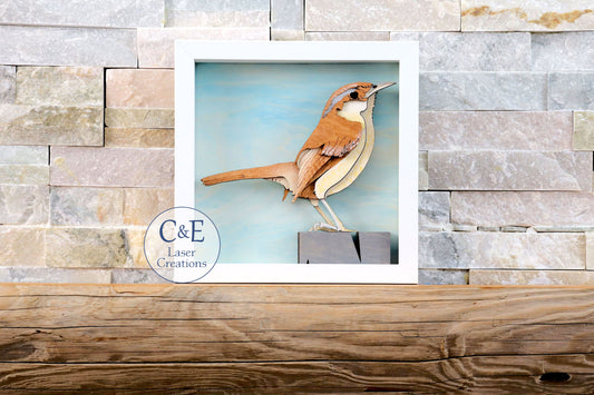 Carolina Wren-Avian