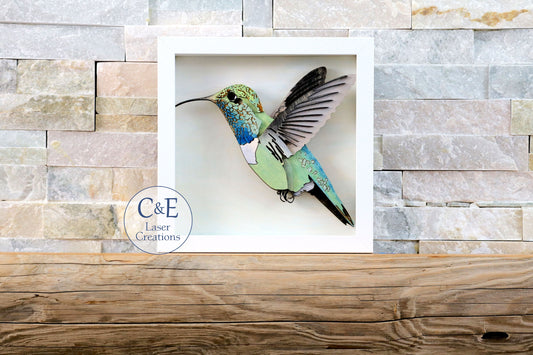Hummingbird-Avian
