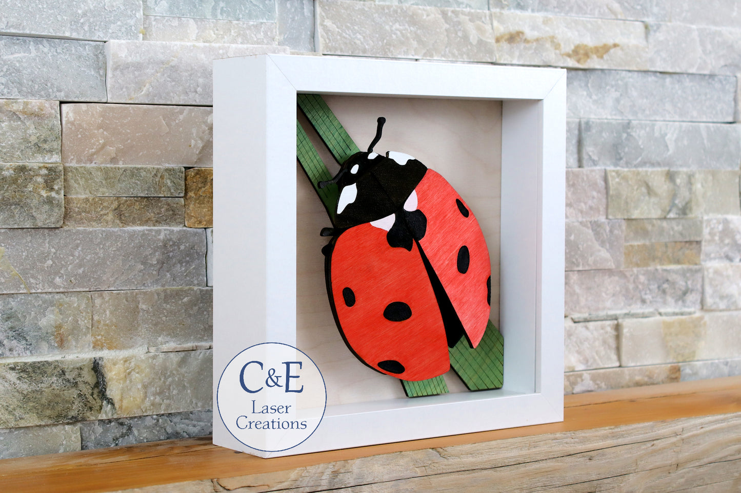 Ladybug-Arthropod