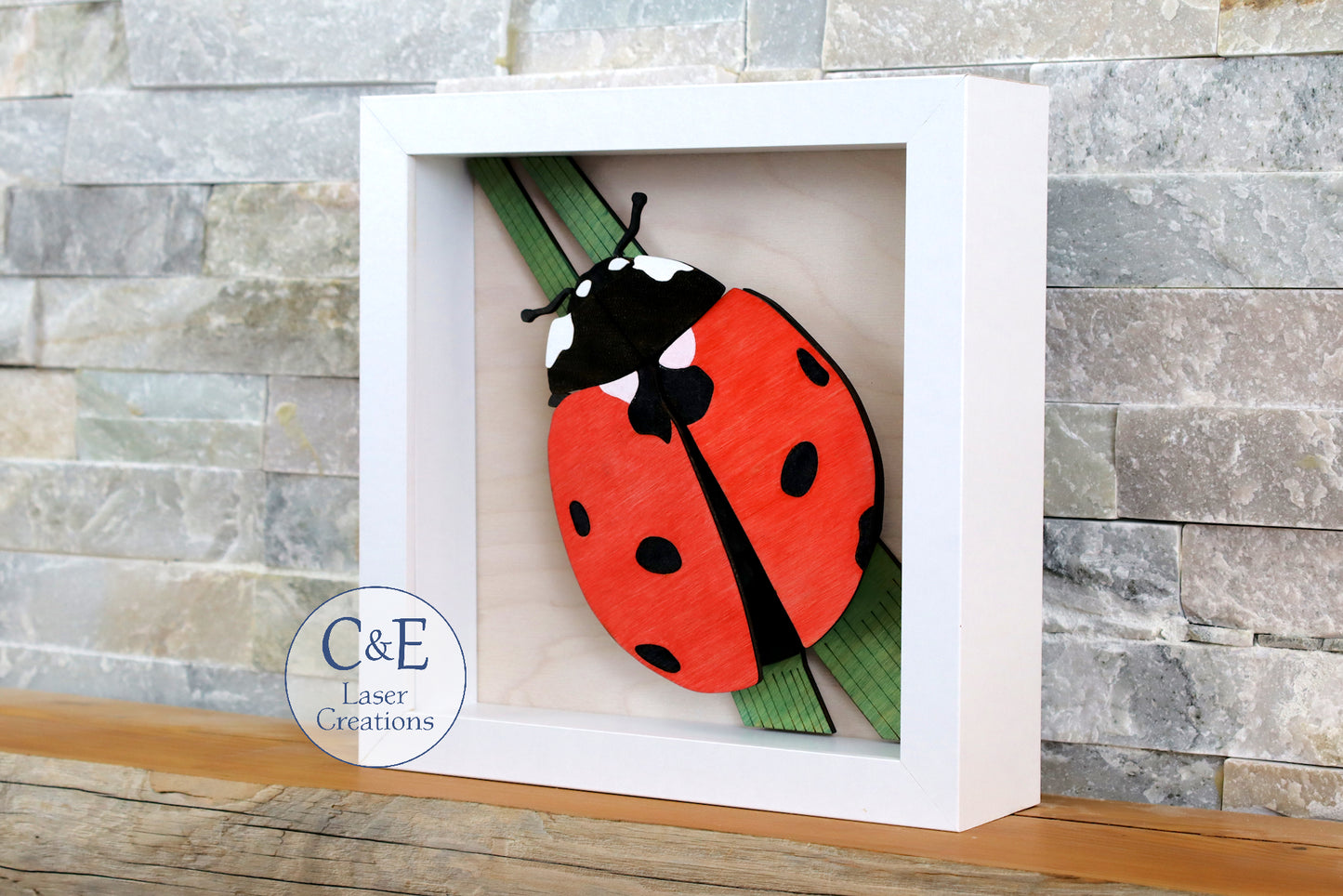 Ladybug-Arthropod