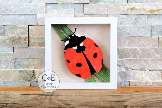 Ladybug-Arthropod