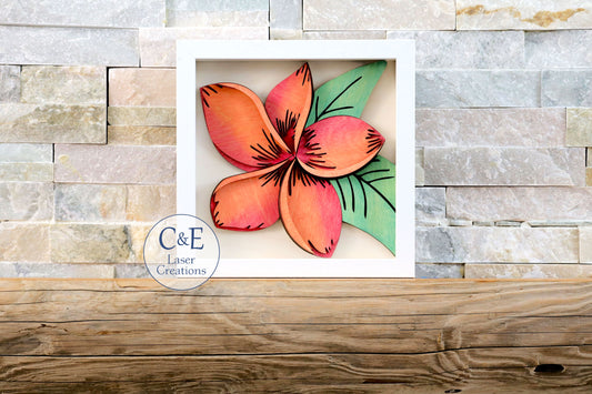 Plumeria-Blooms