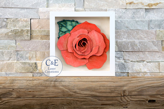 Red Rose-Blooms
