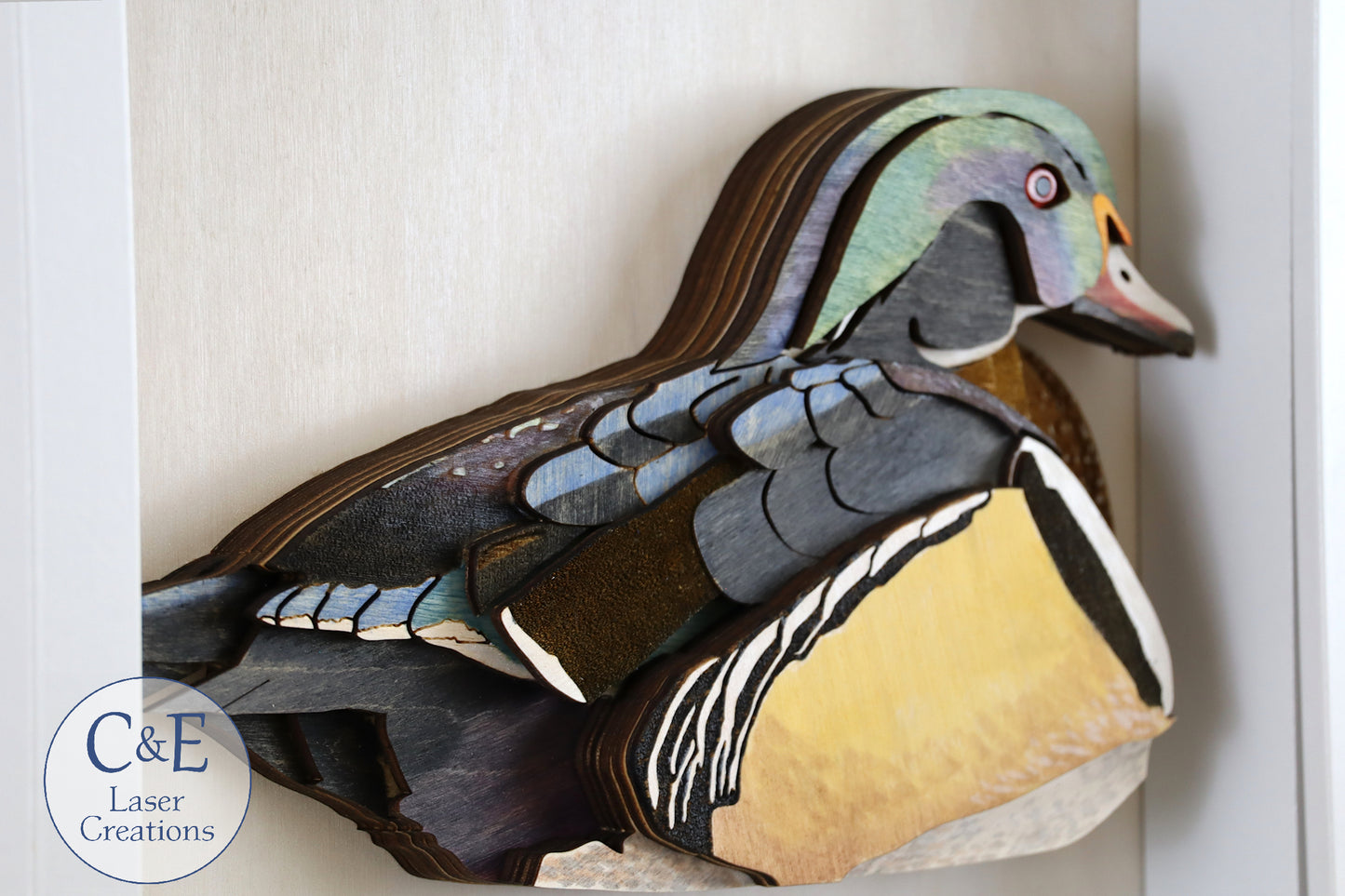 Wood Duck-Avian