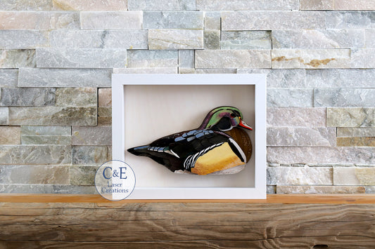 Wood Duck-Avian